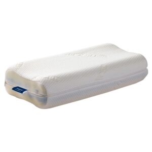 Kombi-Nackenstützkissen morgana NSK 200 - Betten Raymond Hildesheim